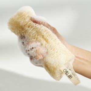 9ae03e59d667bf12757394d6a43233eb Loofah Sponge